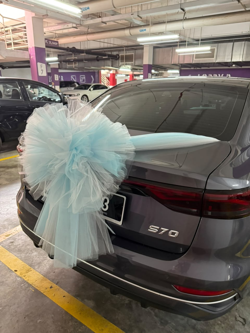 Pure Promise | Wedding Car Deco [Front+Back+4Doors]