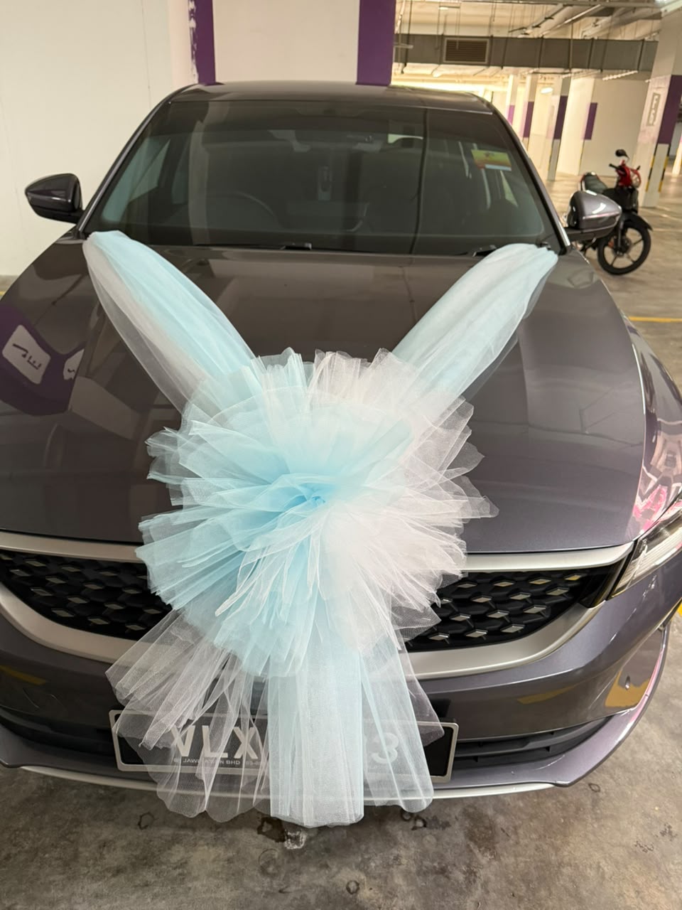 Pure Promise | Wedding Car Deco [Front+Back+4Doors]