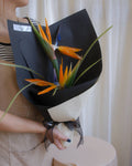 Sagittarius ♐ Free Spirit | Zodiac Bouquet