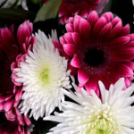 nice-flowers-1326377982Wlr