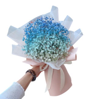 Azure Dream Gradient Baby's Breath - M