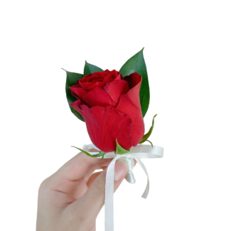 Radiant Red Rose Corsage